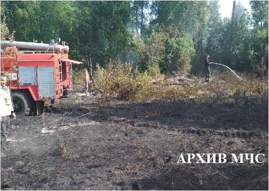 Лесной пожар в Солигаличском муниципальном районе